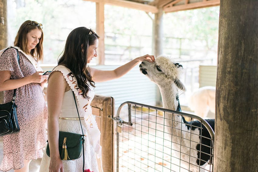 Tierischer Spaß auf der Bridal Shower - In Australien gibt es faszinierende Zoos und Tierparks