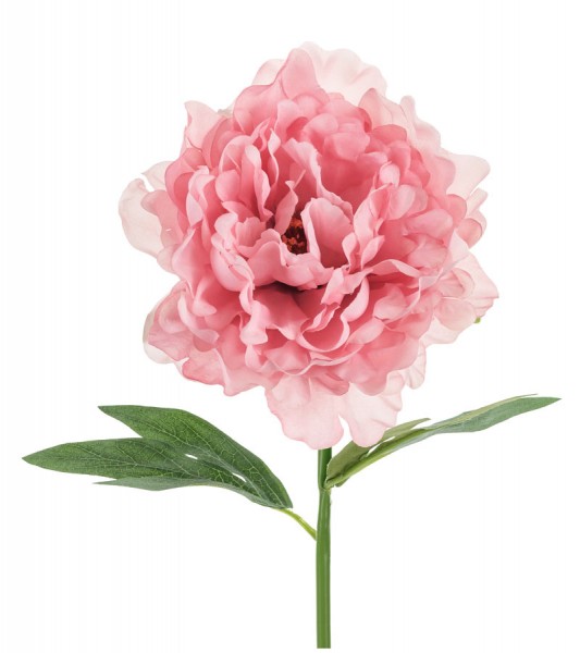 Künstliche Pfingstrose - rosa - 35 cm